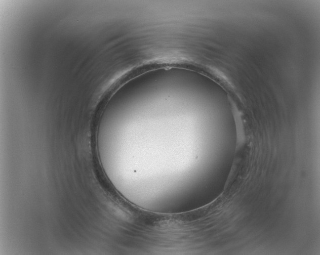 X0000066930535200604071849