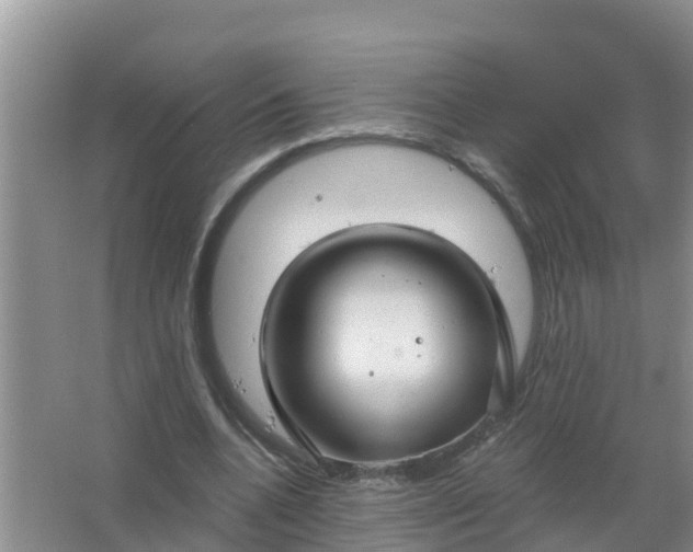 X0000066930536200604071849