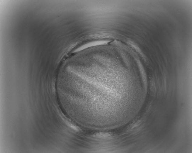 X0000066930537200604071849