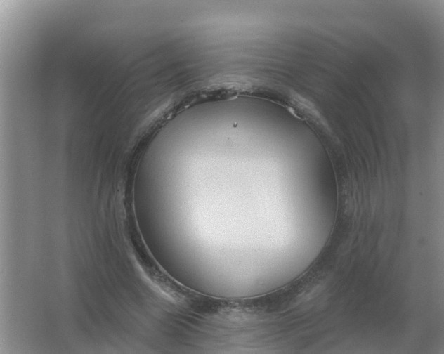 X0000066930538200604071849