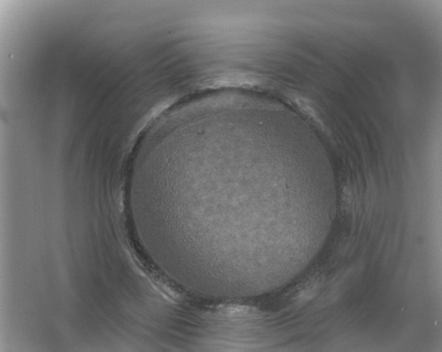 X0000066930539200604071849