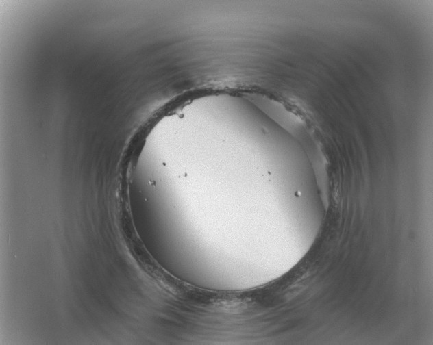 X0000066930540200604071849