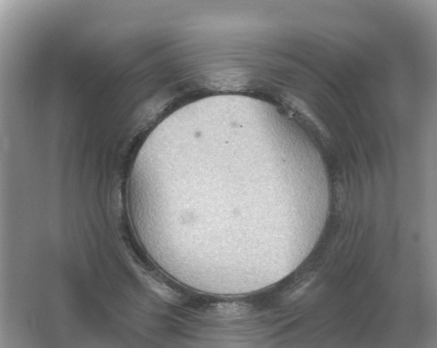 X0000066930541200604071849