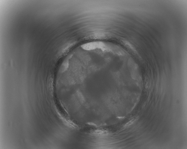 X0000066930542200604071849