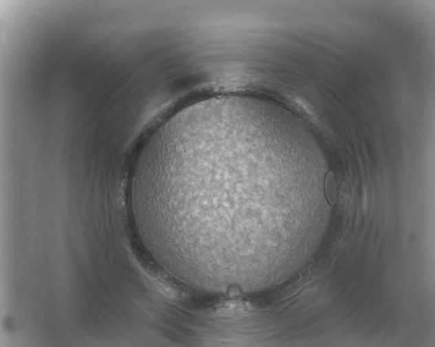 X0000066930543200604071849