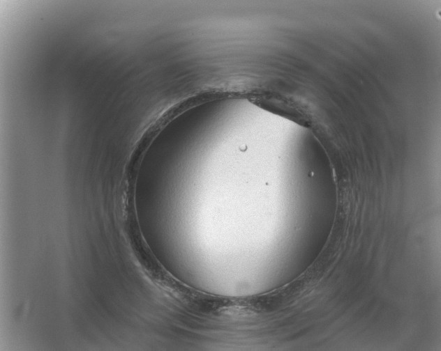 X0000066930544200604071849