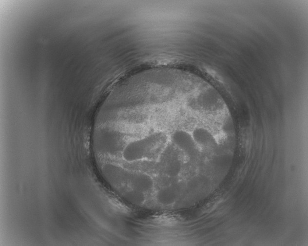 X0000066930545200604071849