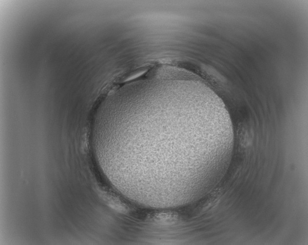 X0000066930546200604071849