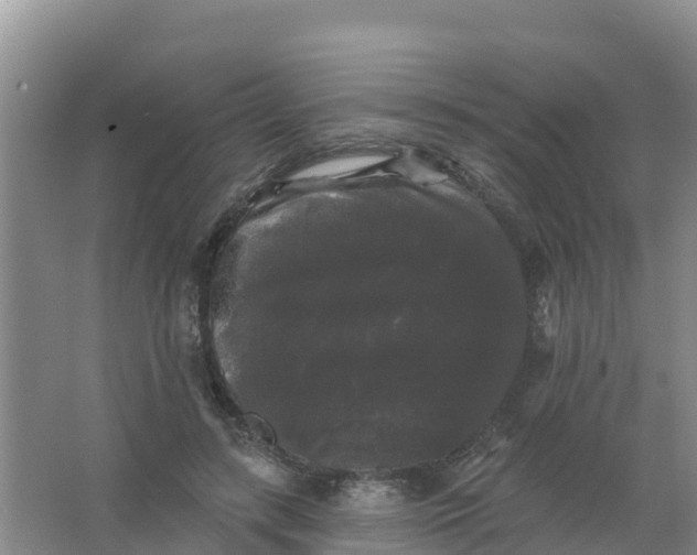 X0000066930547200604071849