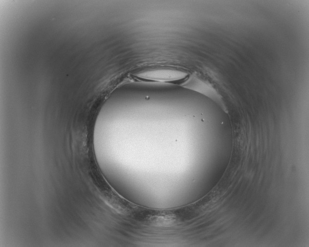 X0000066930548200604071849