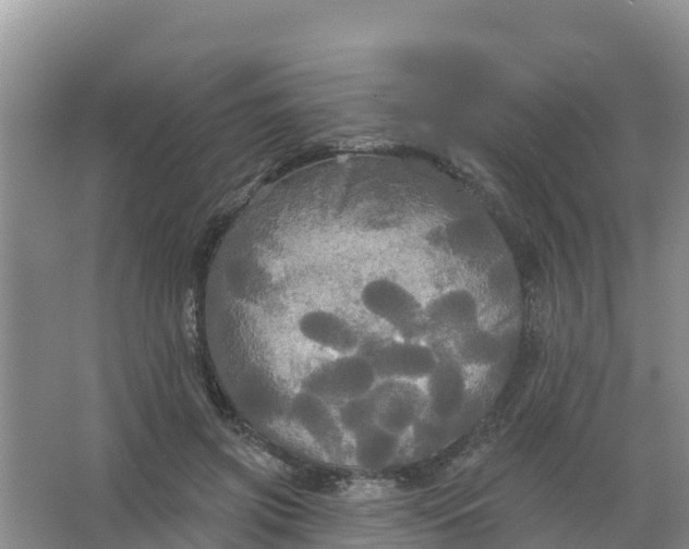 X0000066930549200604071849