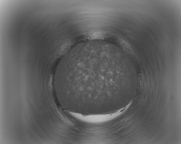 X0000066930550200604071849