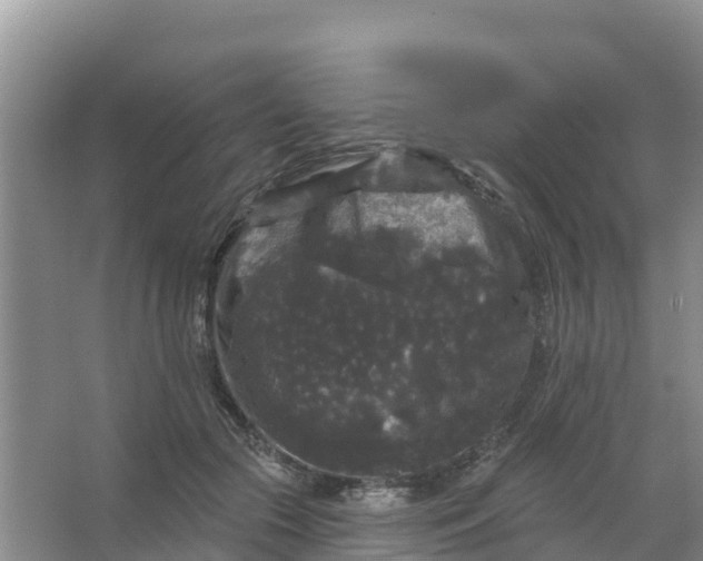 X0000066930553200604071849