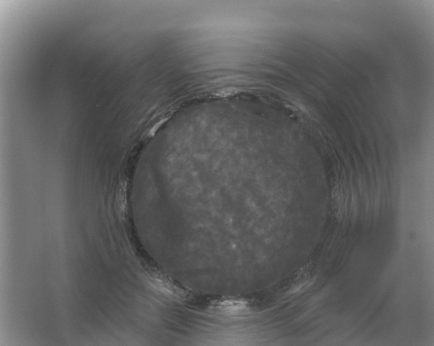 X0000066930554200604071849