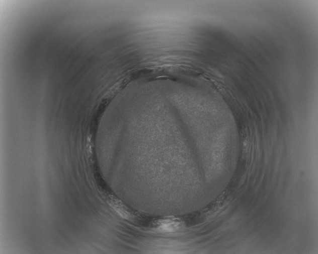 X0000066930555200604071849