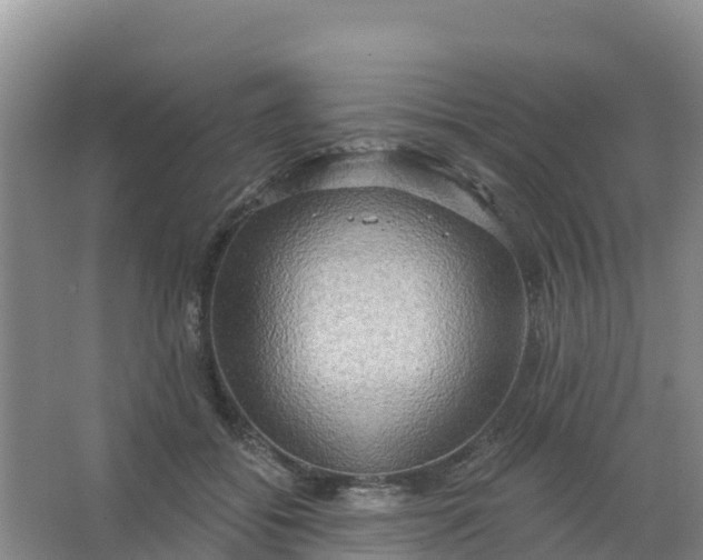 X0000066930556200604071849