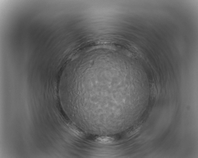 X0000066930557200604071849