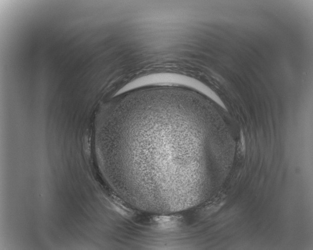 X0000066930558200604071849