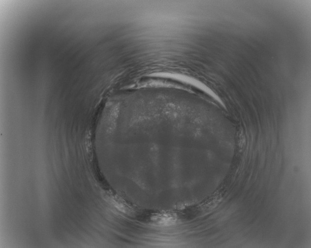 X0000066930559200604071849