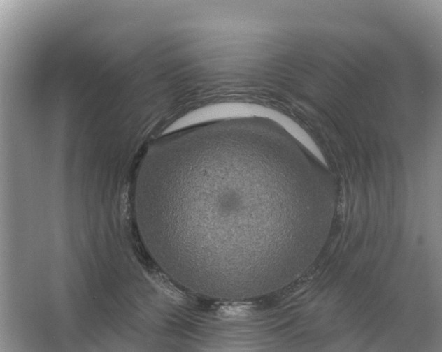 X0000066930560200604071849