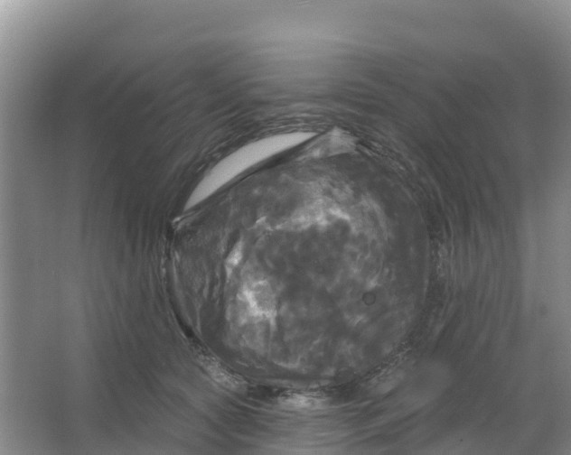 X0000066930561200604071849