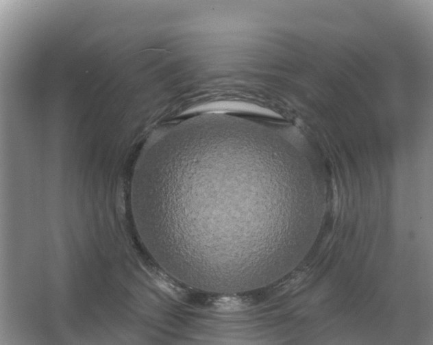 X0000066930562200604071849