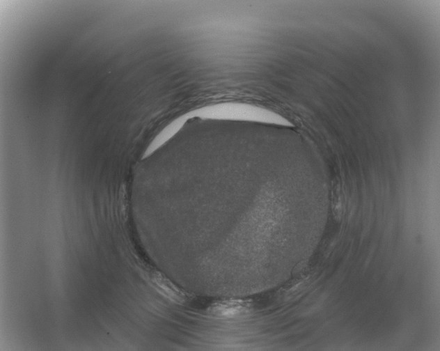 X0000066930563200604071849