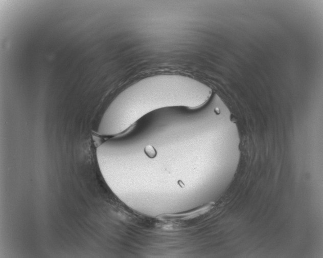 X0000066930564200604071849