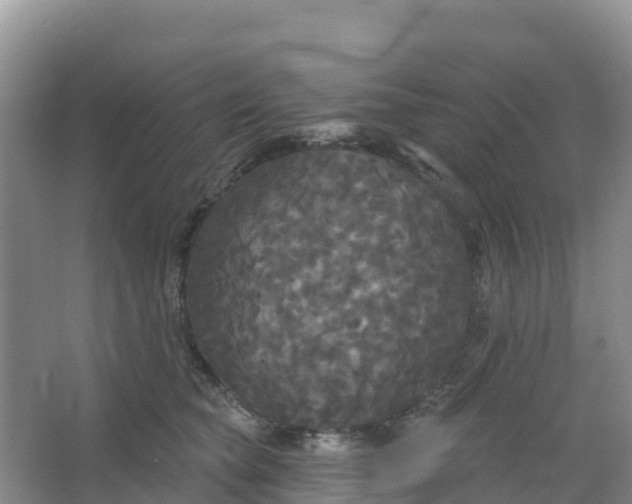 X0000066930565200604071849