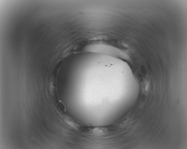 X0000066930566200604071849