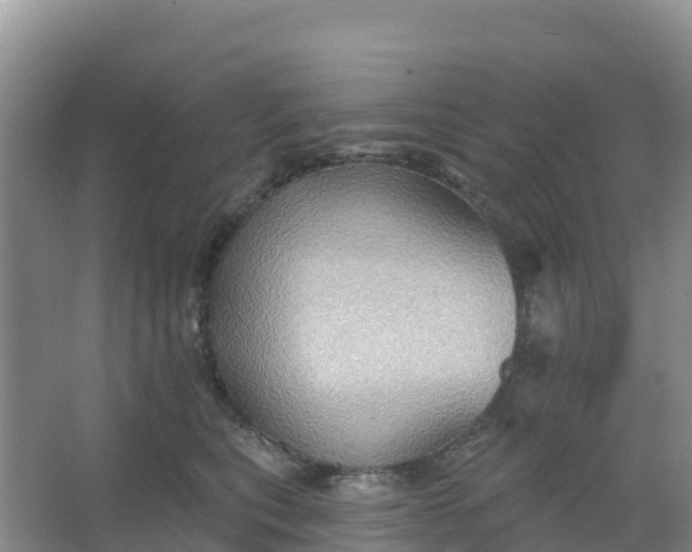 X0000066930567200604071849