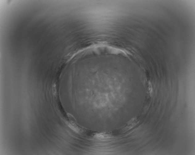 X0000066930568200604071849