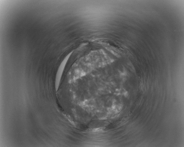 X0000066930569200604071849