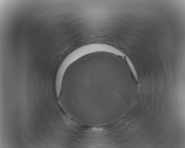 X0000066930570200604071849