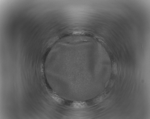 X0000066930571200604071849