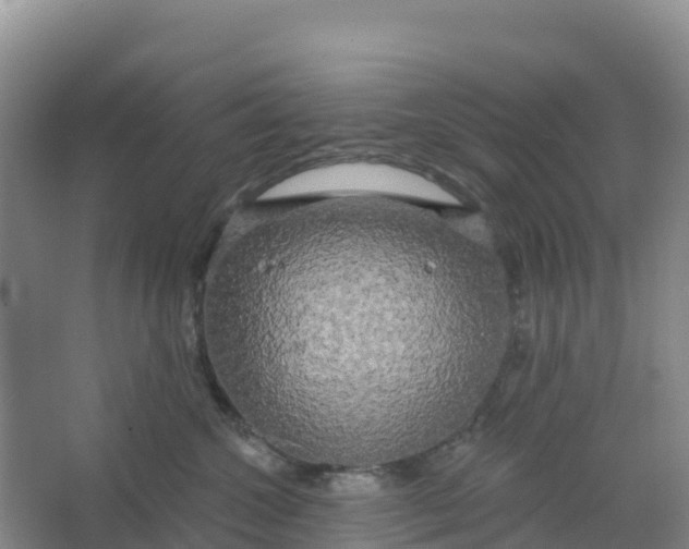 X0000066930572200604071849