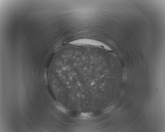 X0000066930573200604071849