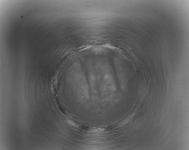 X0000066930576200604071849