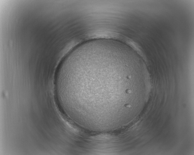 X0000066930578200604071849