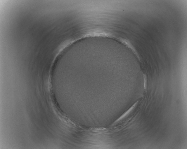 X0000066930579200604071848