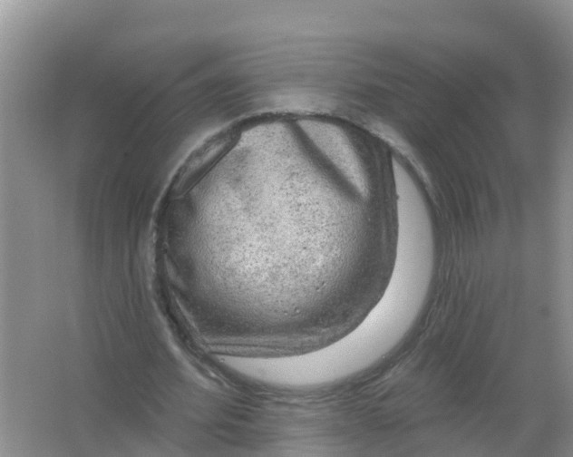 X0000066930580200604071848