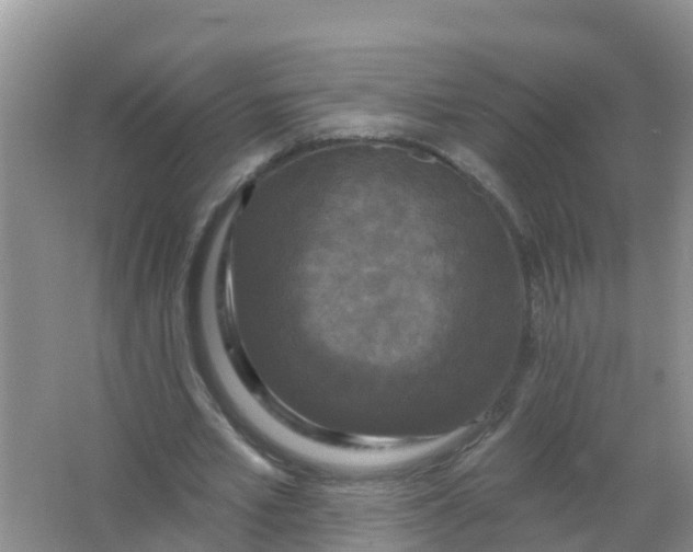 X0000066930581200604071848