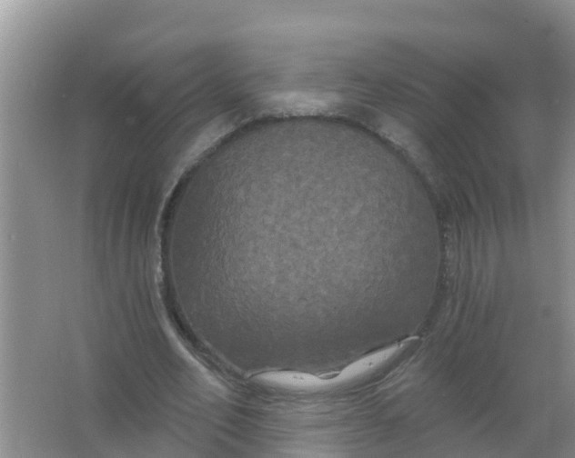 X0000066930582200604071848