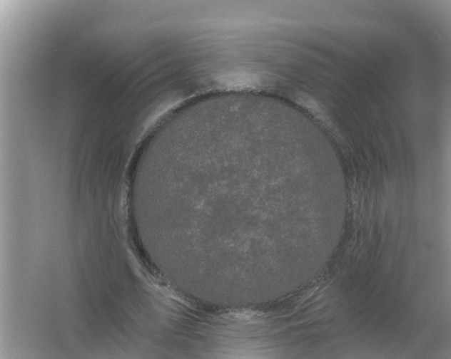 X0000066930583200604071848