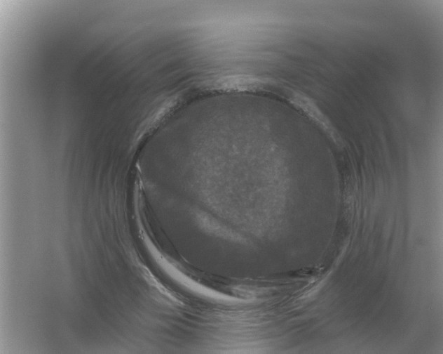 X0000066930585200604071848