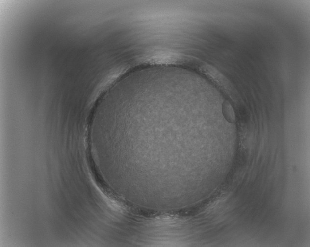 X0000066930586200604071848