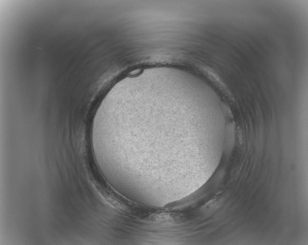 X0000066930588200604071848