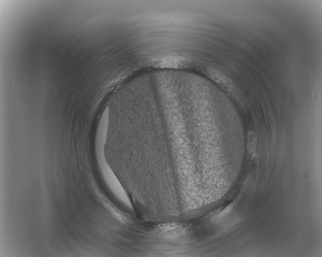 X0000066930589200604071848