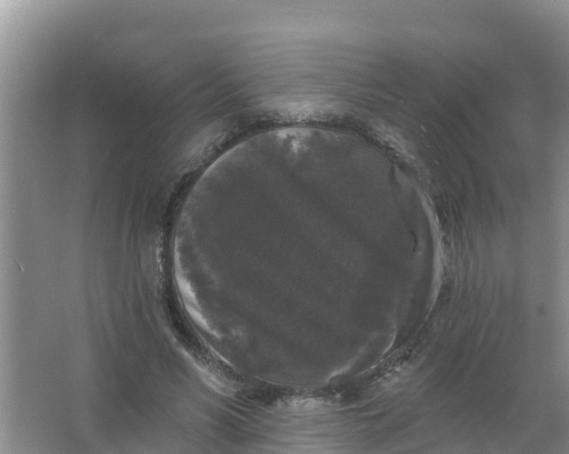 X0000066930590200604071848