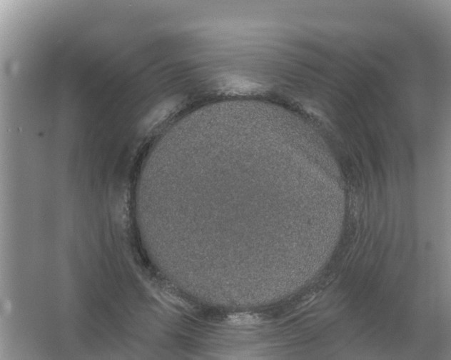 X0000066930591200604071848